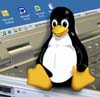 Tux (mascota de Linux)